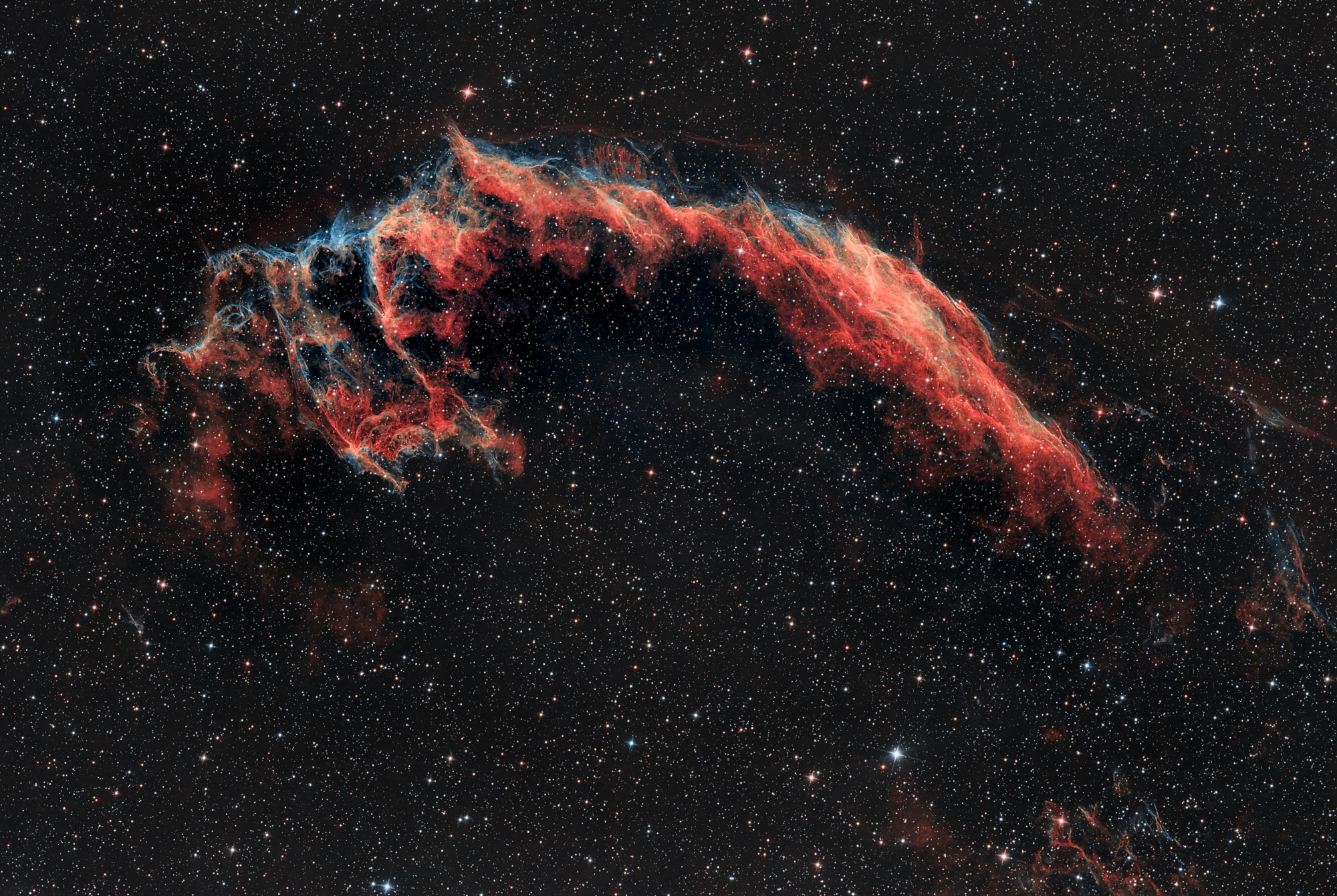 Im östlichsten Teil der Cygnus-Schleife ist eine Fledermaus zu sehen, die deshalb auch als Fledermausnebel NGC 6995 bezeichnet wird.